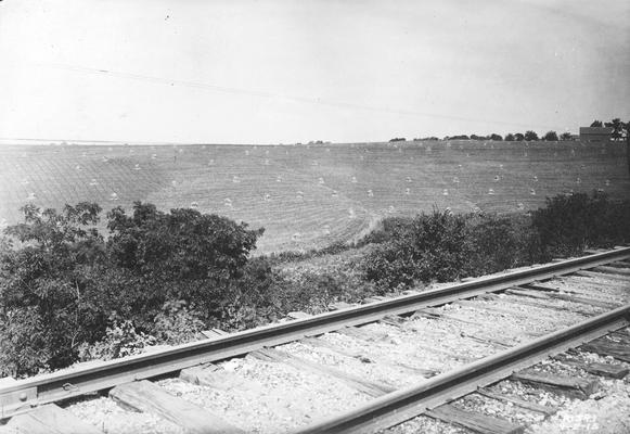 Railroad tracks near hayfield