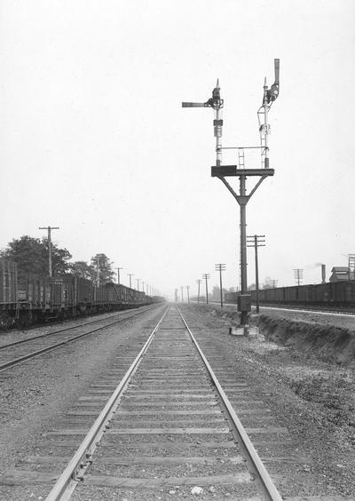 Railroad cars on tracks with signals