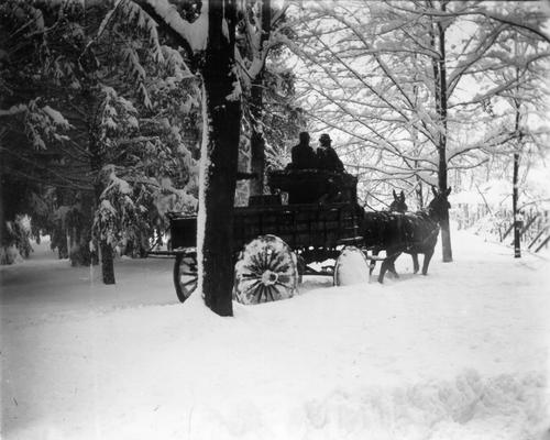 Horse drawn wagon in snow