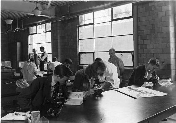 Students in Zoology classroom