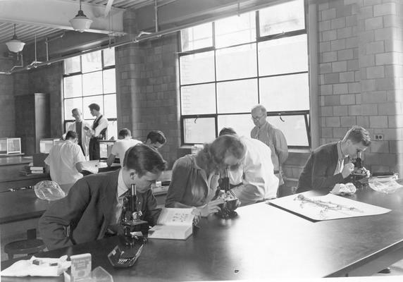 Students in Zoology classroom