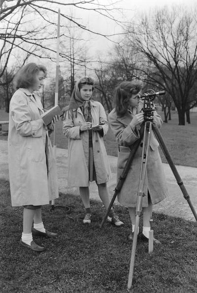 Three young women surveying