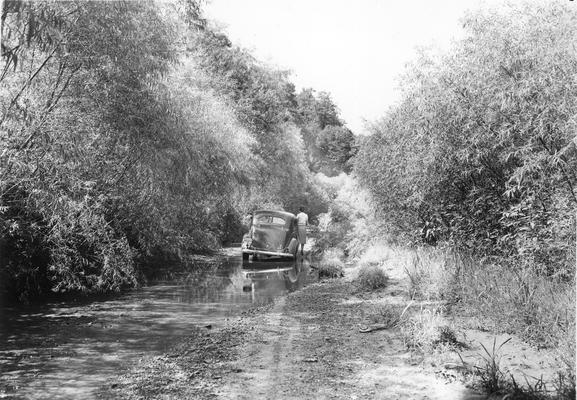 Woman standing beside car in creek