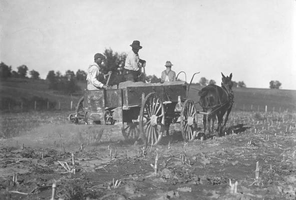 Men in wagon spreading fertilizer