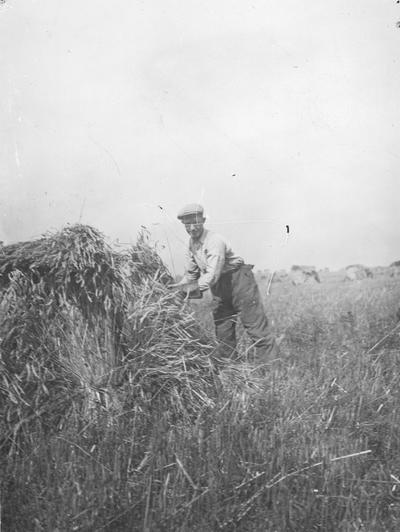 Volunteers who helped in the wheat harvest