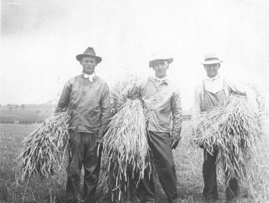 Lexington business men who helped with the wheat harvest