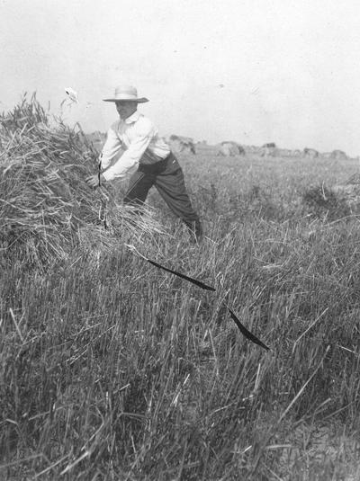 Volunteers who helped in the wheat harvest