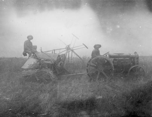 Volunteers who helped in the wheat harvest