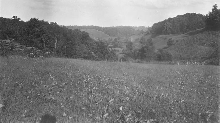 Long Branch, Charles Garland's farm