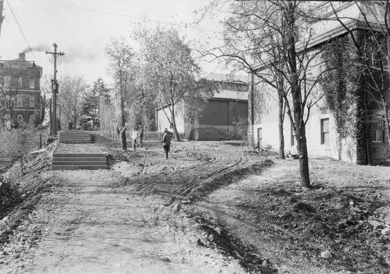 Men constructing steps in University of Kentucky Botanical Gardens