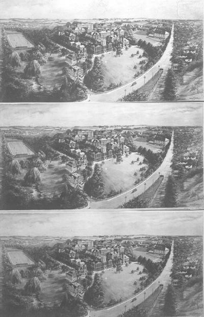Aerial View, drawings of campus