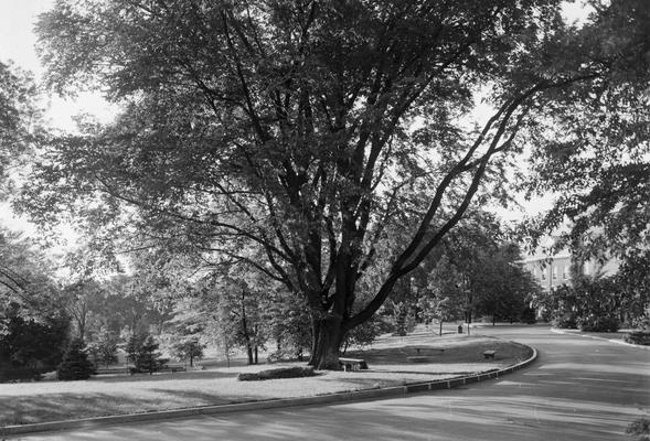 Unidentified campus drive