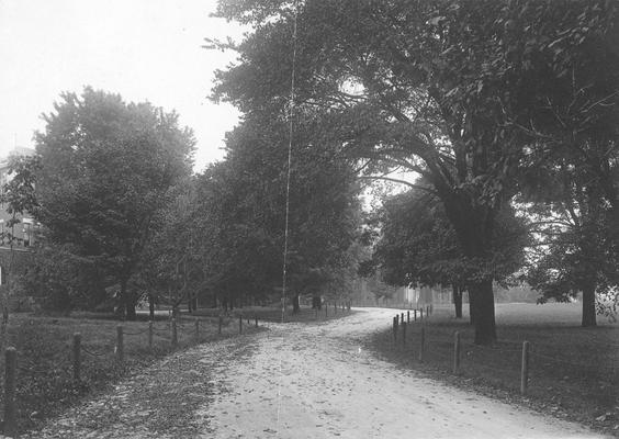 Administration unpaved drive, circa 1908