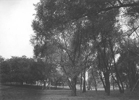 Present site of Student Union Building, 1908