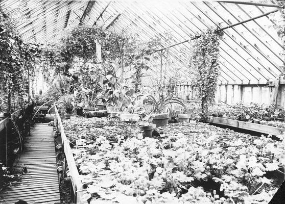 Greenhouse