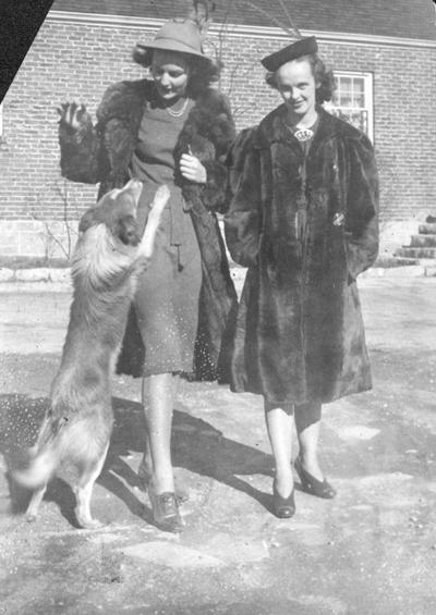 Women in fur coats and a dog, page 30, 1939 