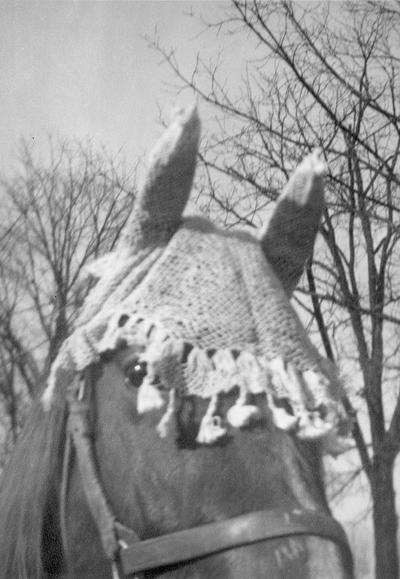 Decorated horse, circa 1948
