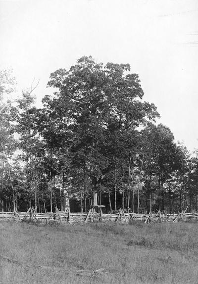 Split rail fence and cemetery