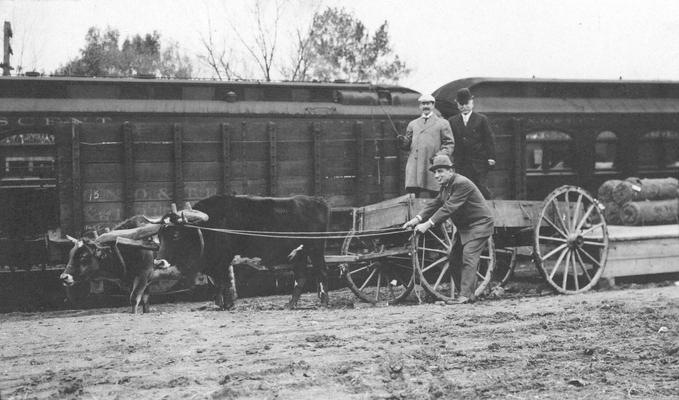 Oxen and wagon in front of Alabama Great Southern train, December 8, 1909