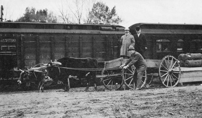 Oxen and wagon in front of Alabama Great Southern train, December 8, 1909