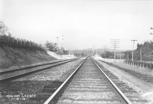 Trackage and cattle crossing, mile 207, Cincinnati, New Orleans, and Texas Pacific Railroad, November 12, 1912