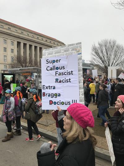 Women's March in Washington, D.C., photographs taken by Eric Rickert