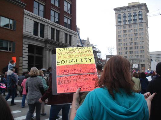 Women's March in Lexington, Kentucky, photographs taken by Diane Arnson Svarlien