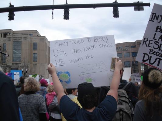 Women's March in Lexington, Kentucky, photographs taken by Diane Arnson Svarlien