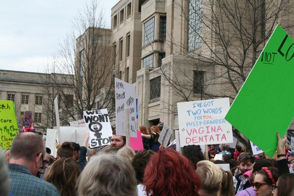 Women's March in Lexington, Kentucky, photographs taken by Tracy Oberc