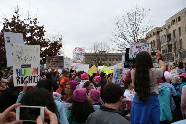 Women's March in Lexington, Kentucky, photographs taken by Tracy Oberc