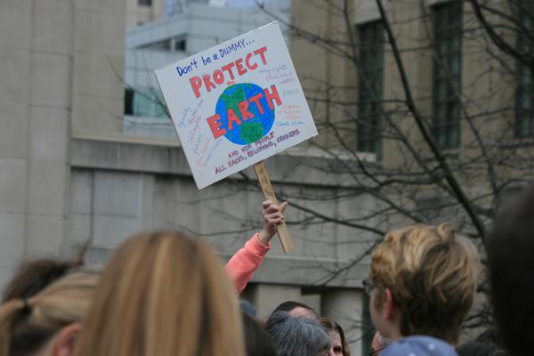 Women's March in Lexington, Kentucky, photographs taken by Tracy Oberc