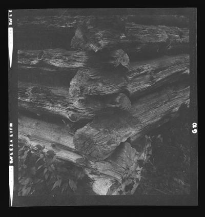 Log dependency at the Dupuy House, Woodford County, Kentucky