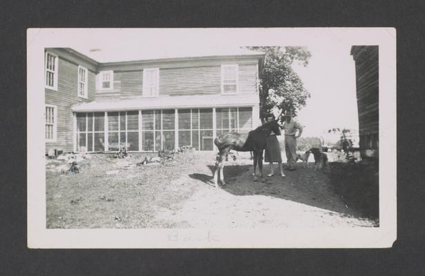 Bob's colt, side and back view of house