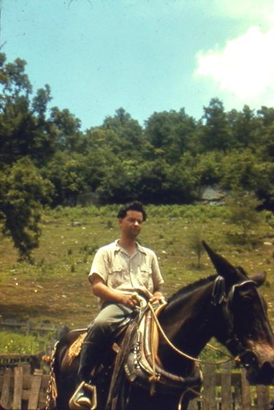 Man sitting on a mule