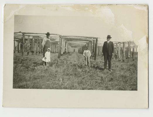 Two unidentified men and two children in front of structure spanning across a crop field