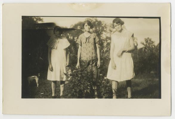 Three unidentified young women