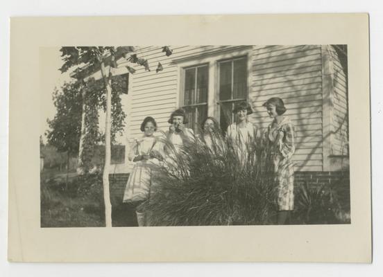 Five unidentified young girls partially obscured by a large bush