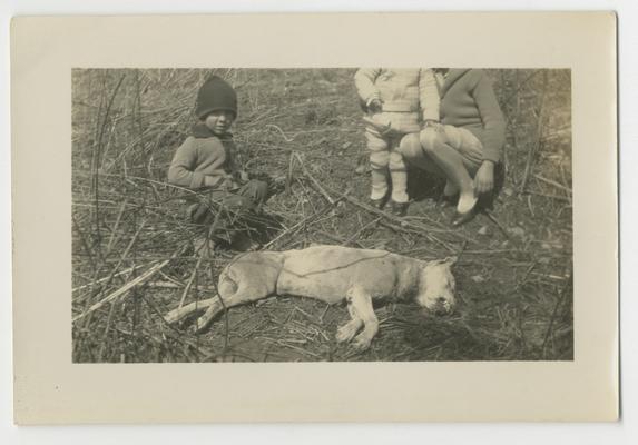 Three unidentified children crouching near a dead dog