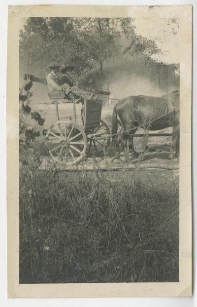 Unidentified persons sitting in a horse-drawn cart