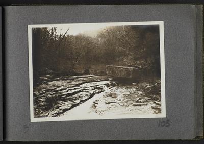 Creek in woods