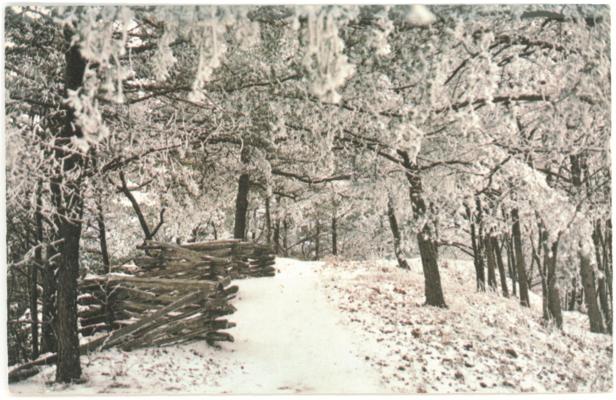 Cumberland Gap National Historical Park, Kentucky-Virginia-Tennessee. (Printed verso reads: 