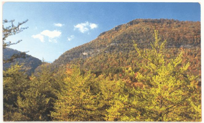 Cumberland Gap National Historical Park, Kentucky-Virginia-Tennessee. (Printed verso reads: 