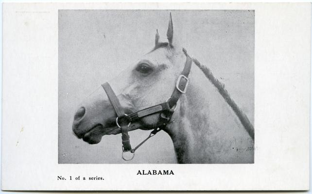 Alabama. No. 1 of a series. (Printed verso reads: 