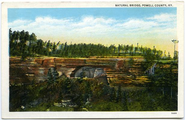 Natural Bridge, Powell County, KY. (Printed verso reads: 