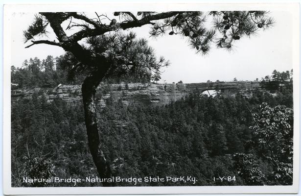 Natural Bridge - Natural Bridge State Park, Ky