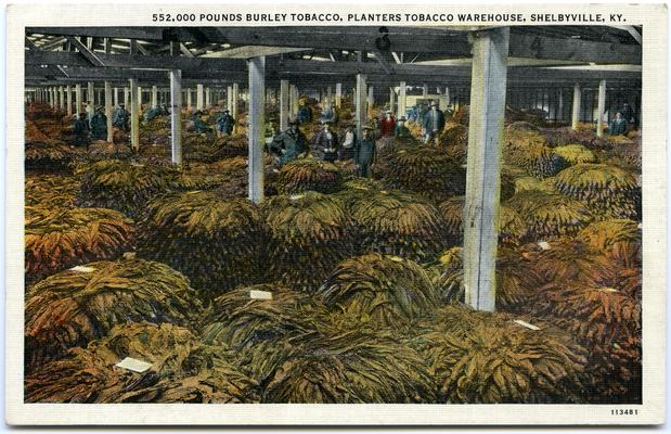 552,000 Pounds Burley Tobacco, Planters Tobacco Warehouse, Shelbyville, KY. 2 copies