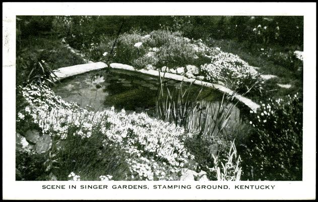 Scene In Singer Gardens. (Printed verso reads: 