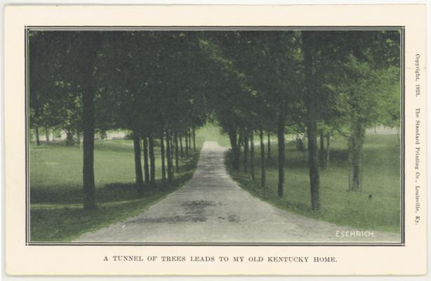 A Tunnel Of Trees Leads To My Old Kentucky Home