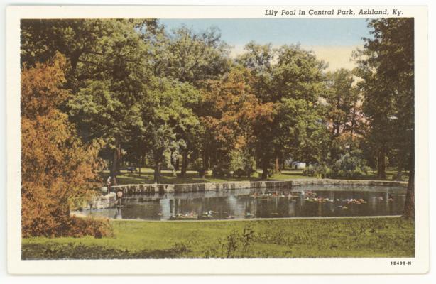 Lily Pool in Central Park. 2 Copies