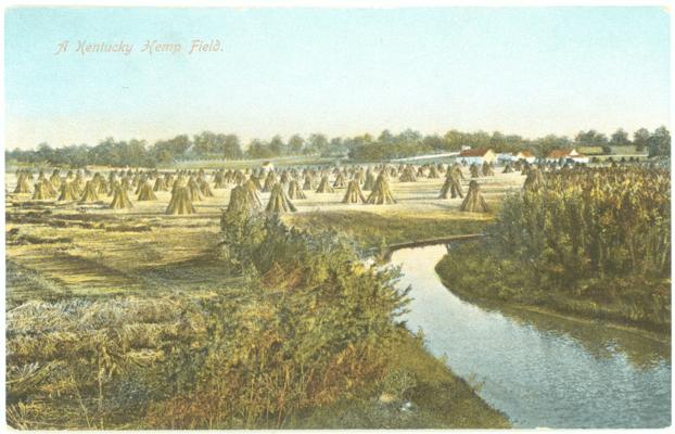 A Kentucky Hemp Field. 2 copies